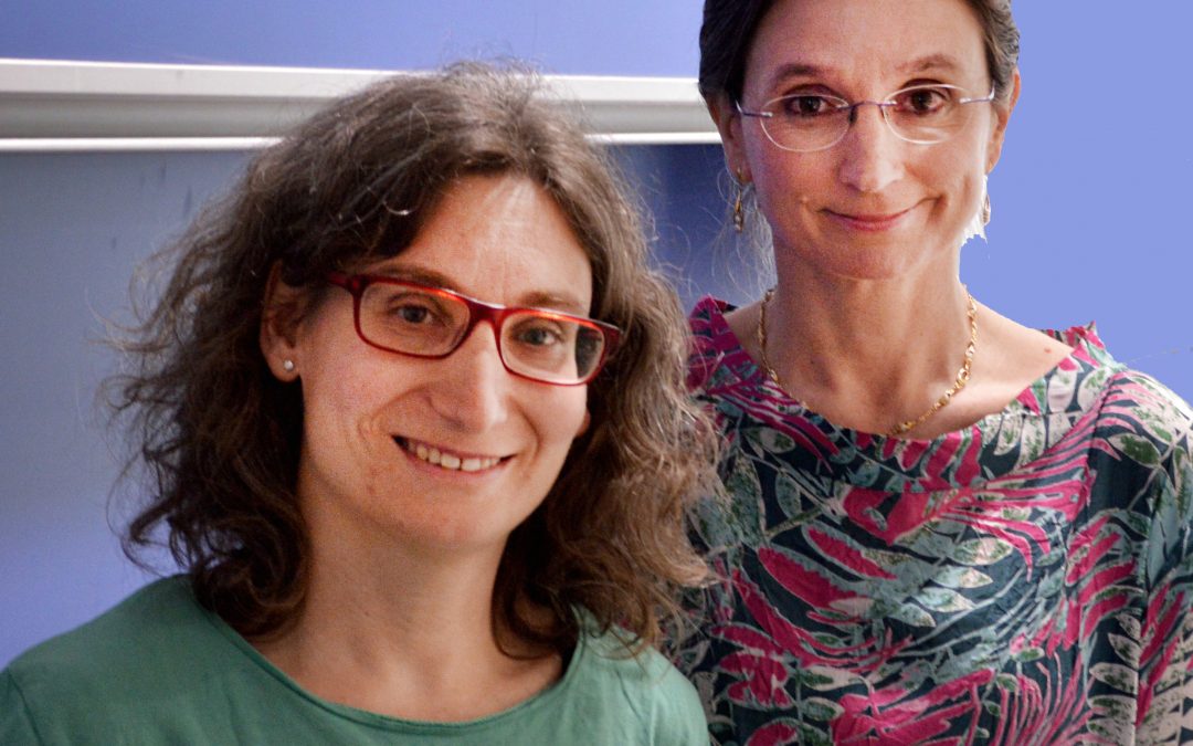 Meet the algebraic topologist who helps biologists to analyse the brain