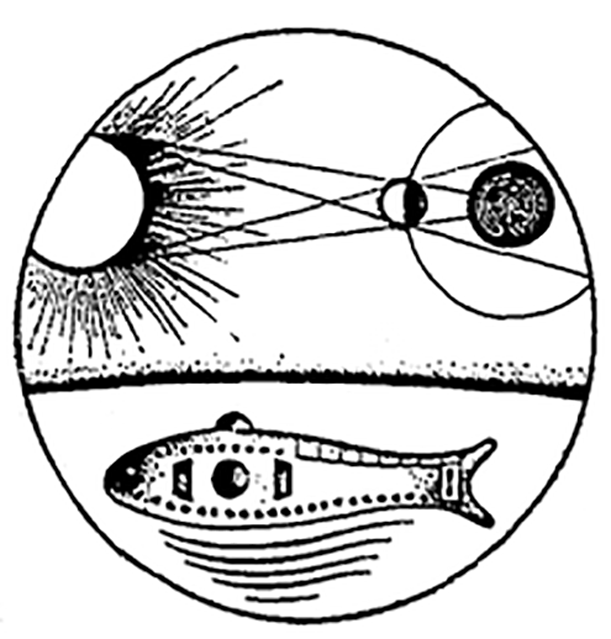 Former BGSMath Director Marc Noy receives the Narcís Monturiol Medal